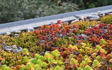 the cost of Chimney End green roof installation