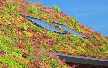 Chimney End living roof systems